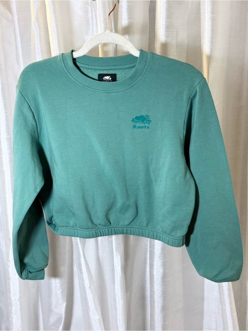 Roots Cropped Crewneck Sweatshirt in Teal Green